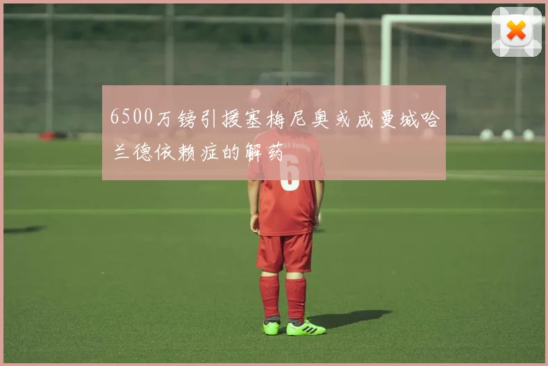 6500万镑引援塞梅尼奥或成曼城哈兰德依赖症的解药