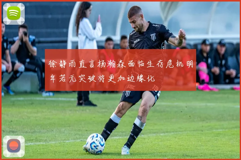 徐静雨直言杨瀚森面临生存危机明年若无突破将更加边缘化